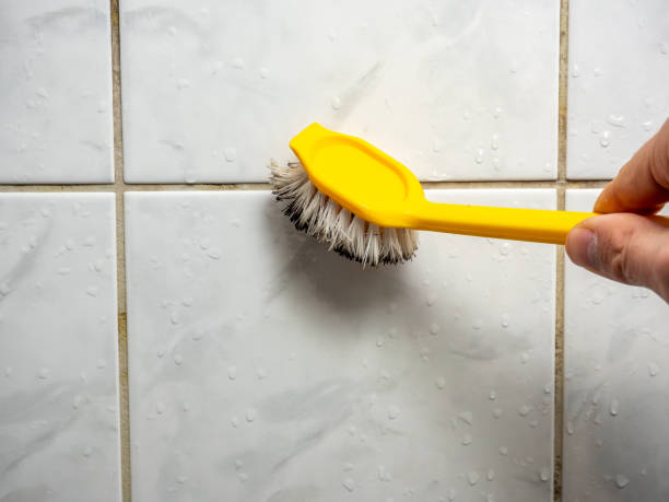 Office Mold Removal Services in Fillmore, CA