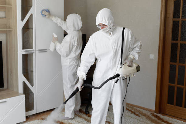 Best Attic Mold Removal  in Fillmore, CA