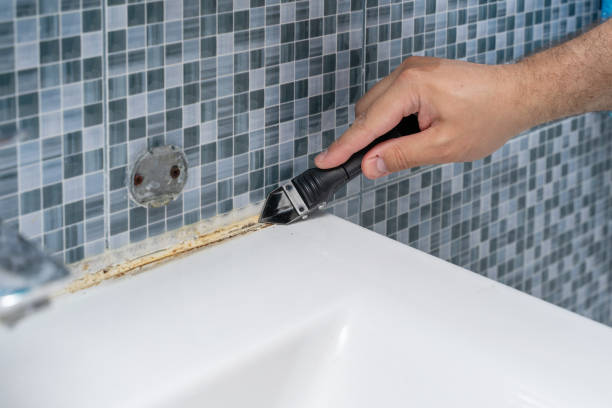 Best Commercial Mold Removal  in Fillmore, CA